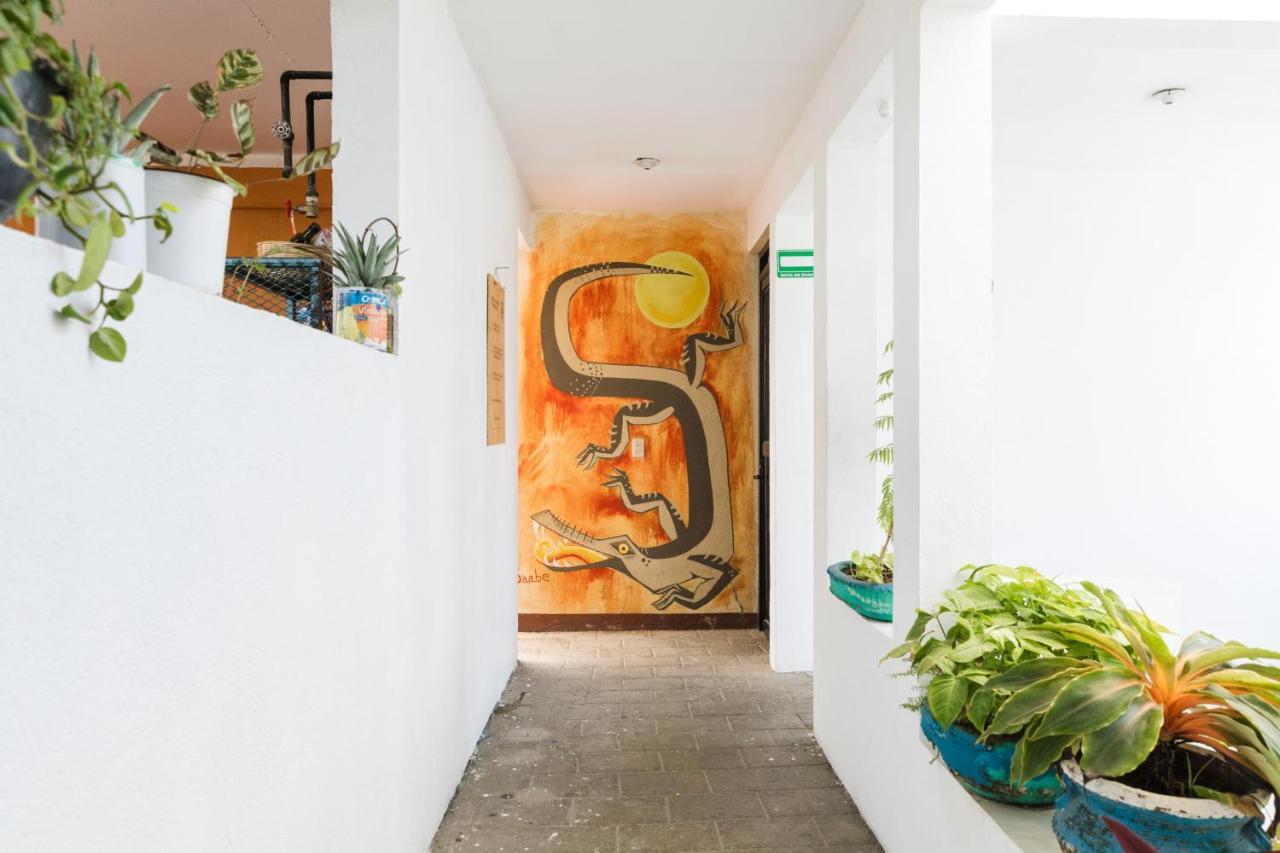 Residencia Artistica Hostel Puerto Escondido  Ngoại thất bức ảnh